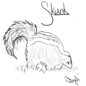 skunk